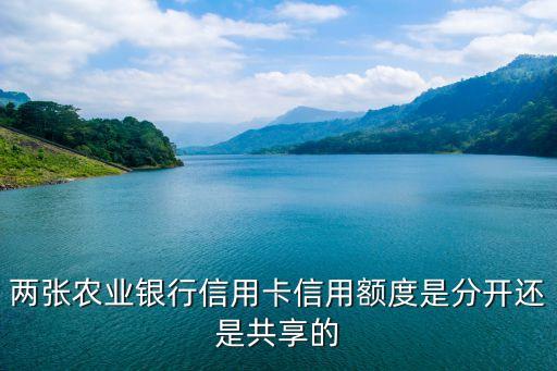 两张农业银行信用卡信用额度是分开还是共享的