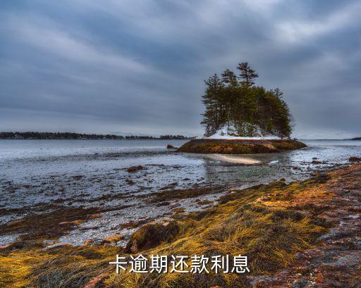 卡逾期还款利息