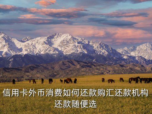 信用卡外币消费如何还款购汇还款机构还款随便选