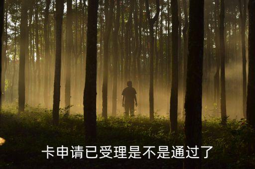 卡申请已受理是不是通过了