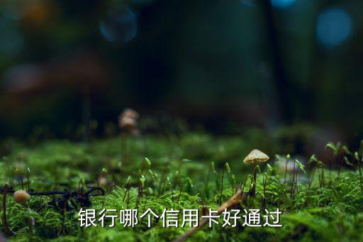 银行哪个信用卡好通过