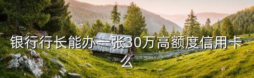 银行行长能办一张30万高额度信用卡么