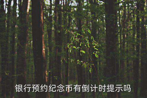 银行预约纪念币有倒计时提示吗