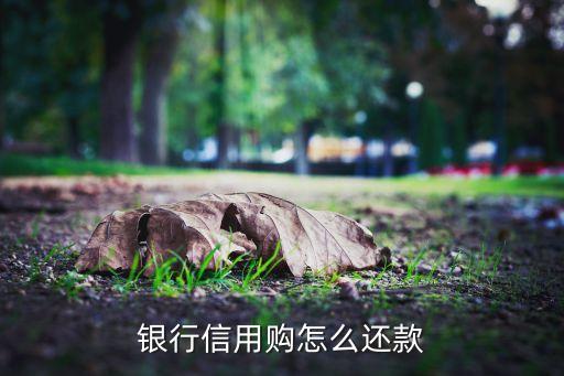 北京银行信用卡咋还款,如何帮别人还信用卡?
