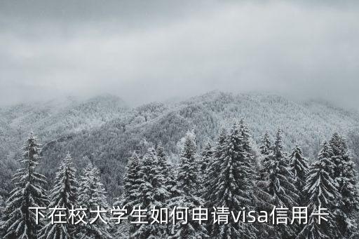 大学生visa信用卡申请,签证生怎么办?