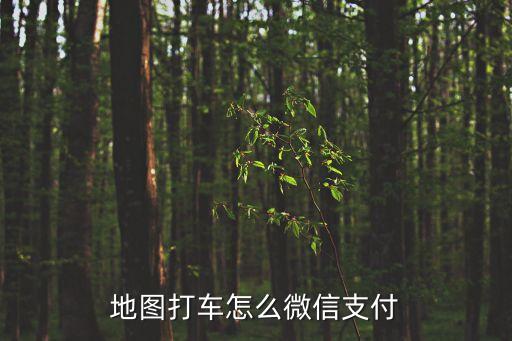 地图打车怎么微信支付