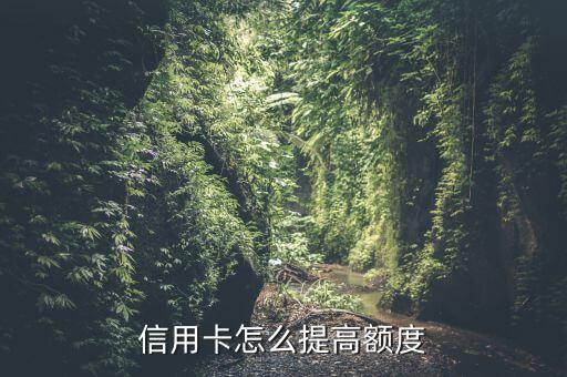 中信信用卡额度增加,中信银行信用卡怎么退?
