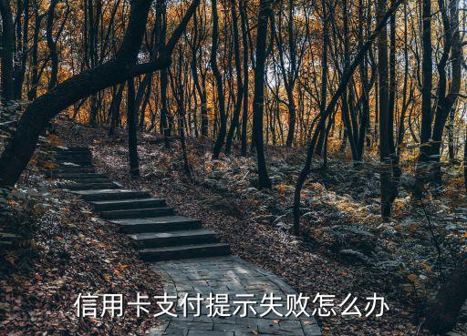 信用卡额度还有付款失败,付款超过信用卡限额