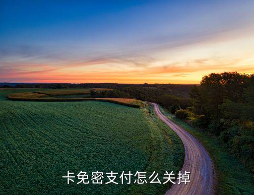平安银行信用卡高德打车免密支付,高德出租车信用卡