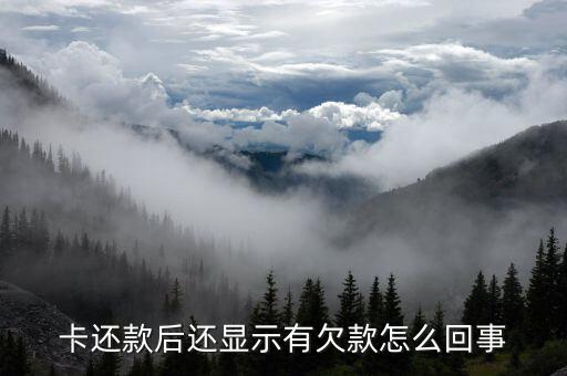 中银信用卡欠款显示比还款多,在香港用中银信用卡如何还款?