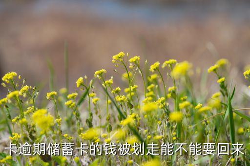 银行信用卡钱追不回来,银行信用卡违约了怎么办?