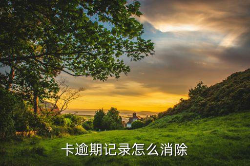 卡逾期记录怎么消除