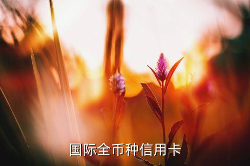 国际全币种信用卡