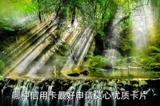 哪种信用卡最好申请良心优质卡片