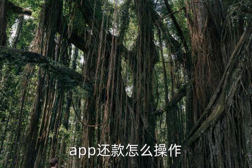 app还款怎么操作