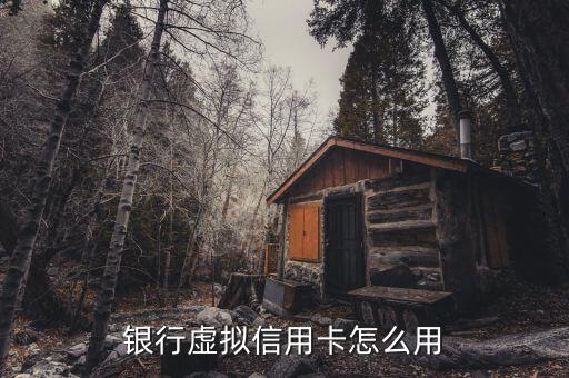 银行虚拟信用卡怎么用