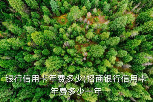 银行信用卡年费多少(招商银行信用卡年费多少一年