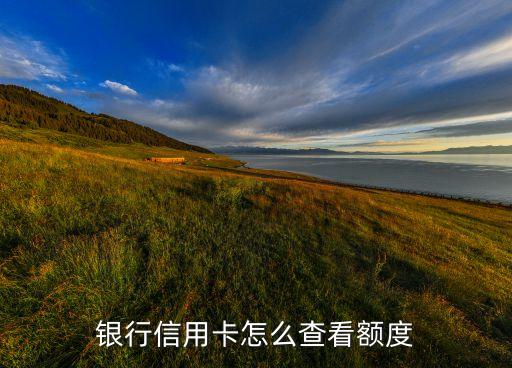 银行信用卡怎么查看额度