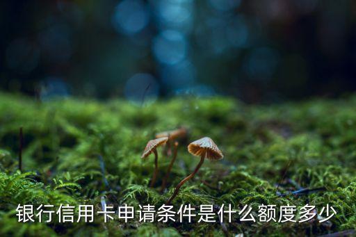 银行信用卡申请条件是什么额度多少
