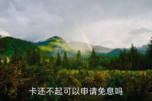 卡还不起可以申请免息吗