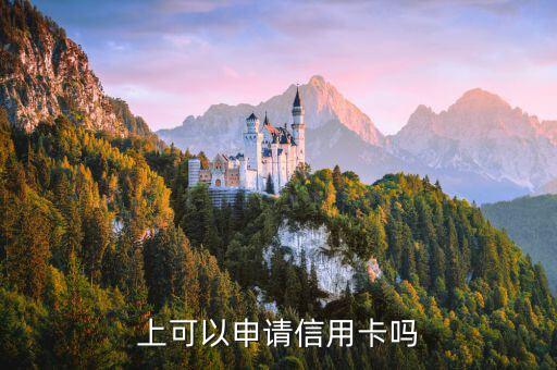 上可以申请信用卡吗
