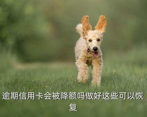 信用卡逾期花呗会降额吗,为什么信用卡逾期了还有额度?