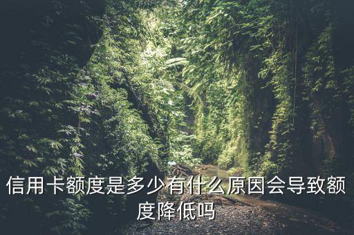 信用卡额度是多少有什么原因会导致额度降低吗