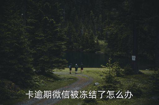 卡逾期微信被冻结了怎么办