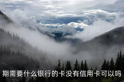 期需要什么银行的卡没有信用卡可以吗