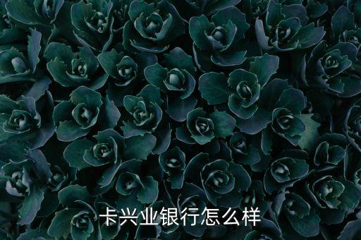 卡兴业银行怎么样
