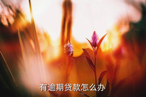 济南严查信用卡逾期怎么办,信用卡被起诉逾期怎么办?