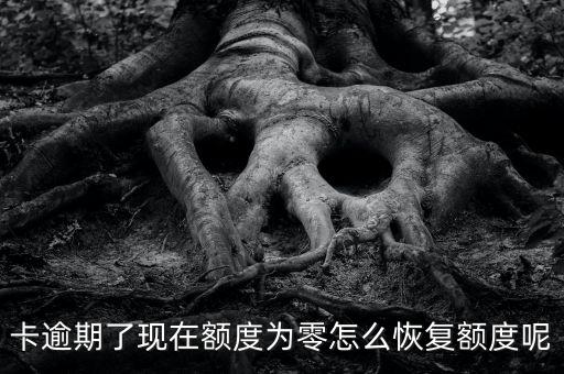 卡逾期了现在额度为零怎么恢复额度呢