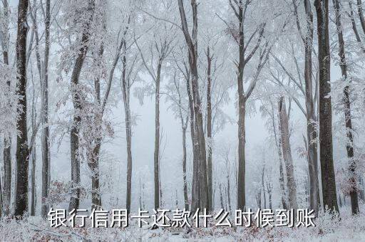 银行信用卡还款什么时候到账