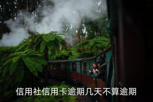 信用社信用卡逾期几天不算逾期