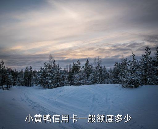 小黄鸭信用卡一般额度多少