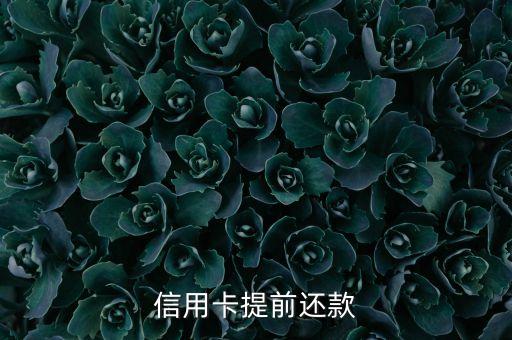 信用卡提前还款