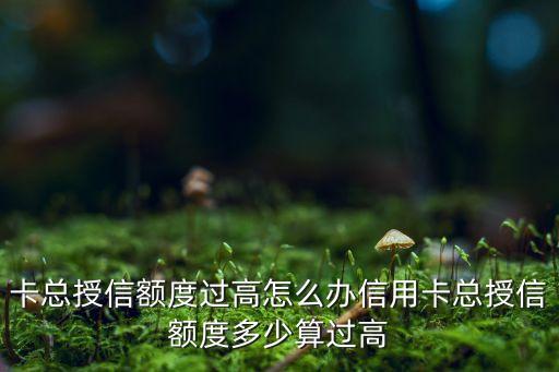 信用卡过多额度过高,负债太多的信用卡会被降级吗?