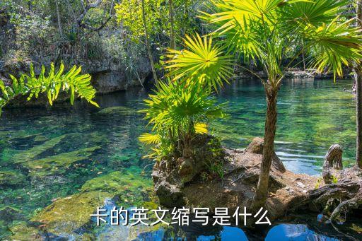 信用卡还款怎么说英语,用信用卡协商还款