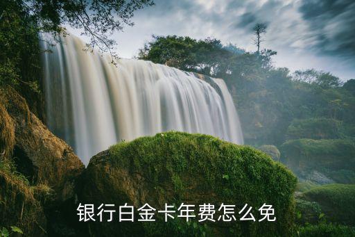 农业银行信用卡白金扣年费,农行的白金信用卡年费是多少?