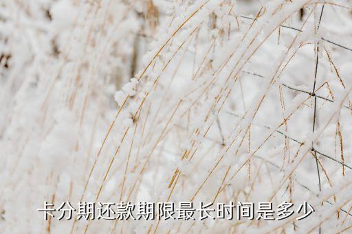 信用卡办理分期最长时间,浦发信用卡最长分期是多少?