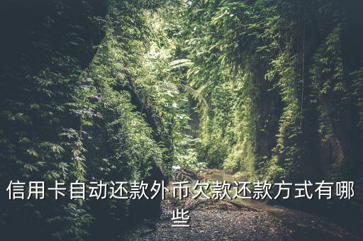 信用卡自动还款外币欠款还款方式有哪些