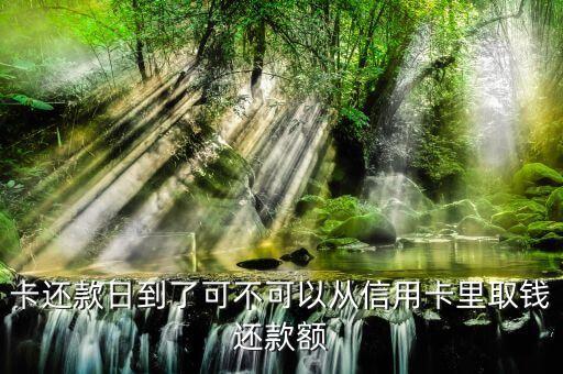 卡还款日到了可不可以从信用卡里取钱还款额