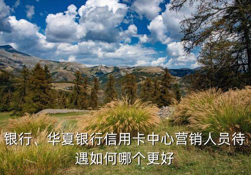 银行、华夏银行信用卡中心营销人员待遇如何哪个更好