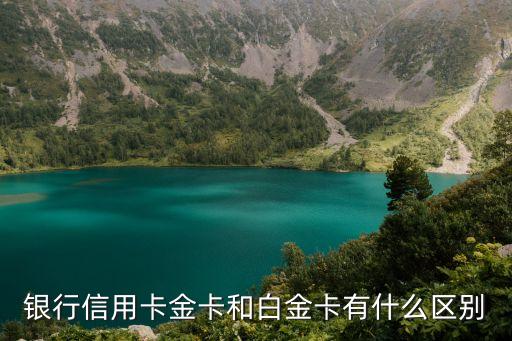 银行信用卡金卡和白金卡有什么区别