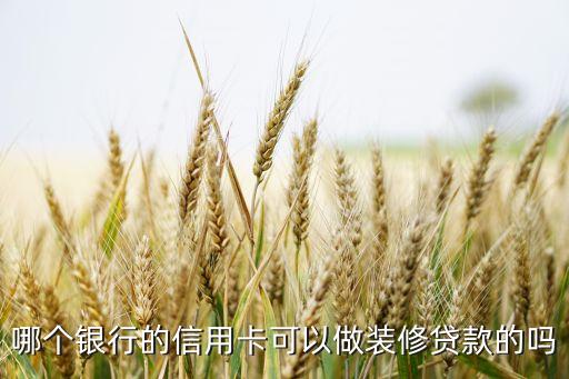 哪个银行的信用卡可以做装修贷款的吗