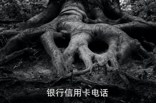 长沙银行标准金卡信用卡申请,中原银行标准信用卡金卡