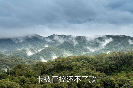 卡被管控还不了款