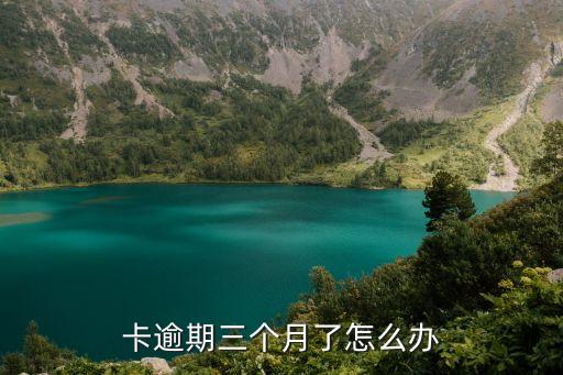 卡逾期三个月了怎么办
