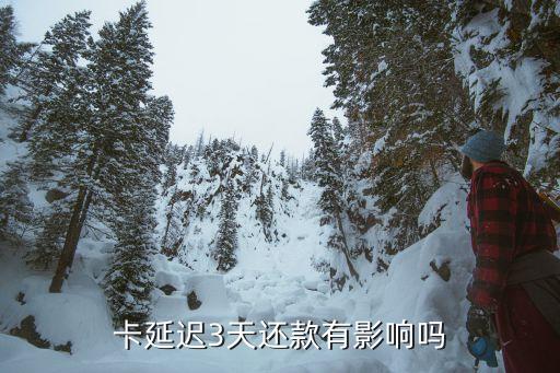 农商信用卡延迟还款,江南农村商业银行的信用卡晚了一天