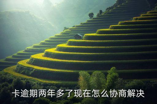 南昌信用卡逾期解决方案,信用卡贷款逾期解决方案